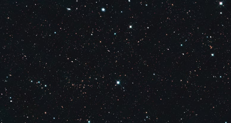 51236213241_6d86958545_6k