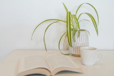 Read the Bible | Week 3