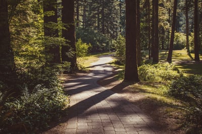 Beholding Obedience | Week 3