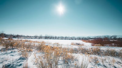 Literary Context | Week 3