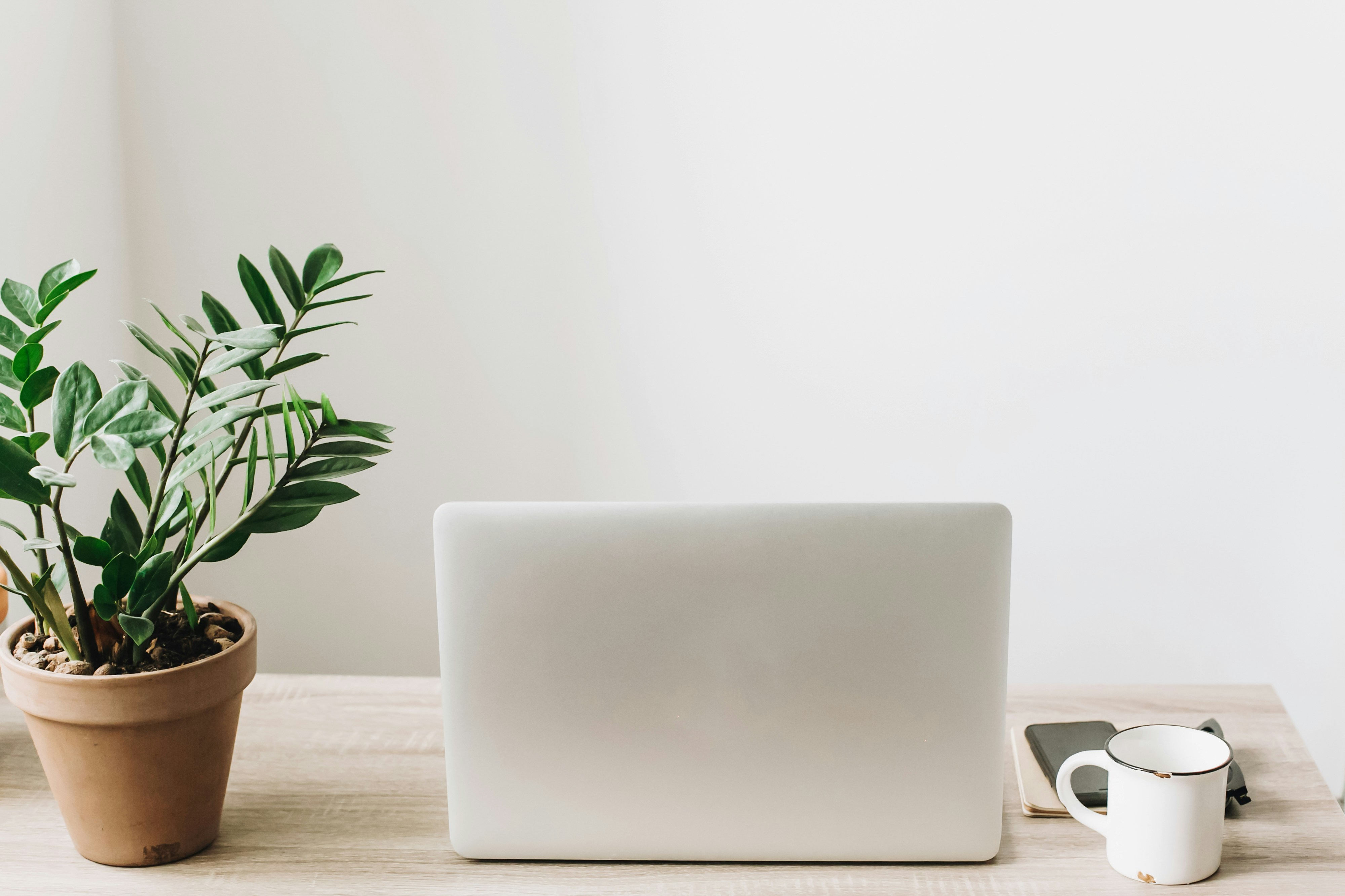 getty-images-eG7WiYMObps-unsplash
